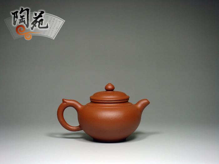 杨琴 新笑樱2副本.jpg