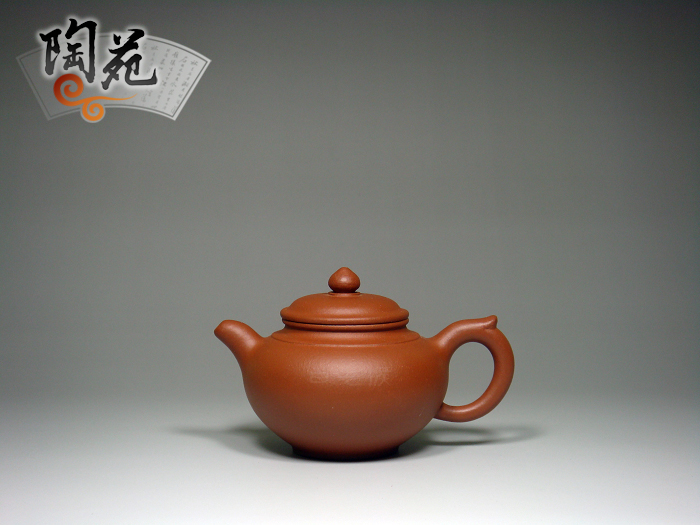 杨琴 新笑樱1副本.jpg