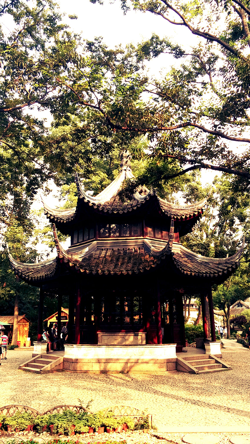 CAM00467.jpg