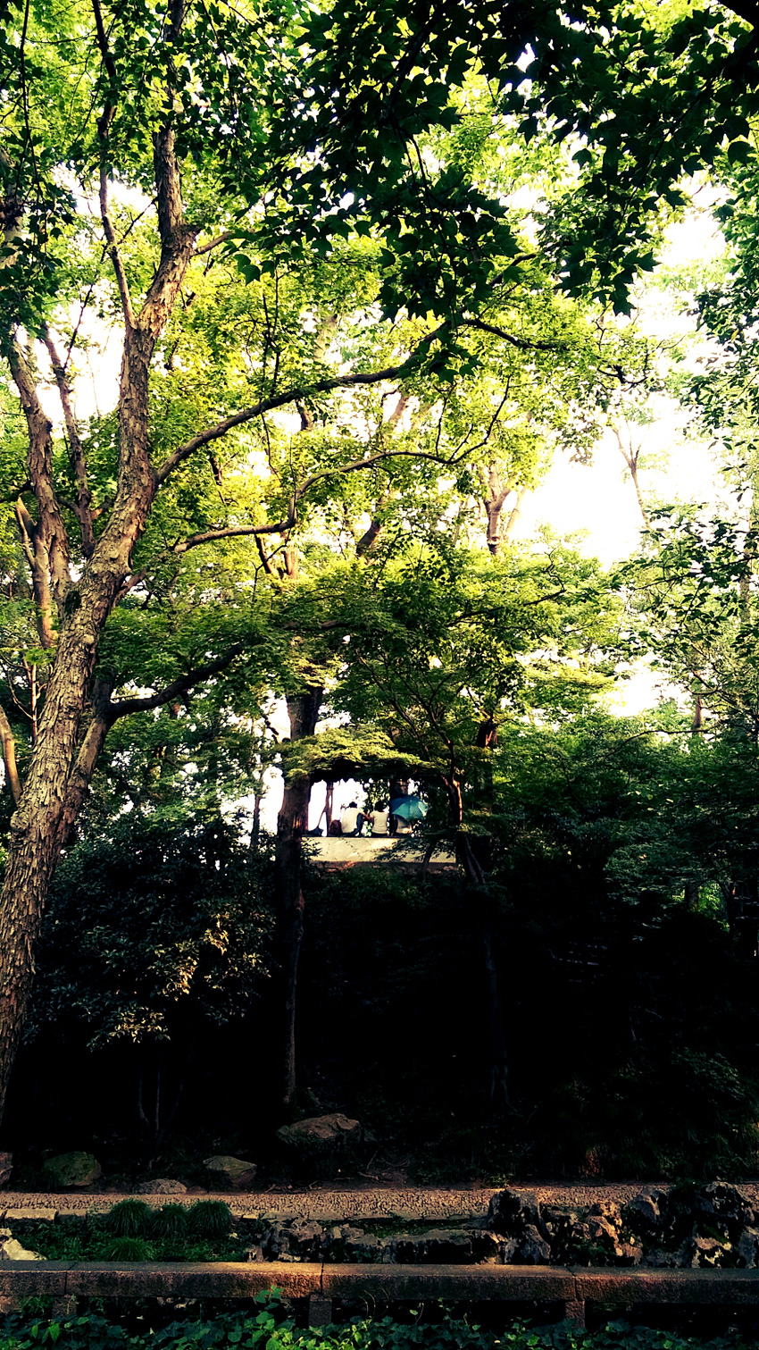 CAM00468.jpg