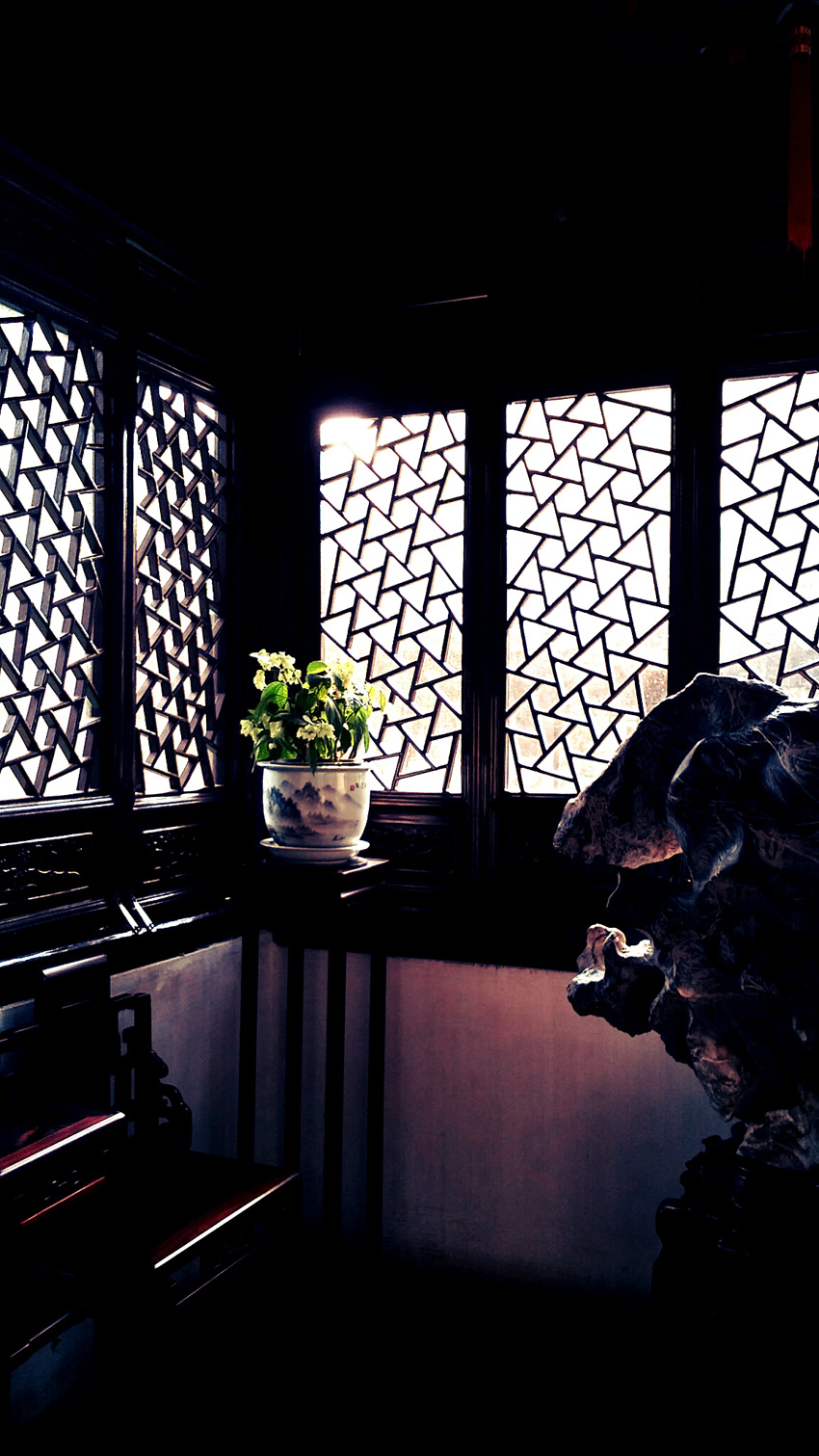 CAM00484.jpg