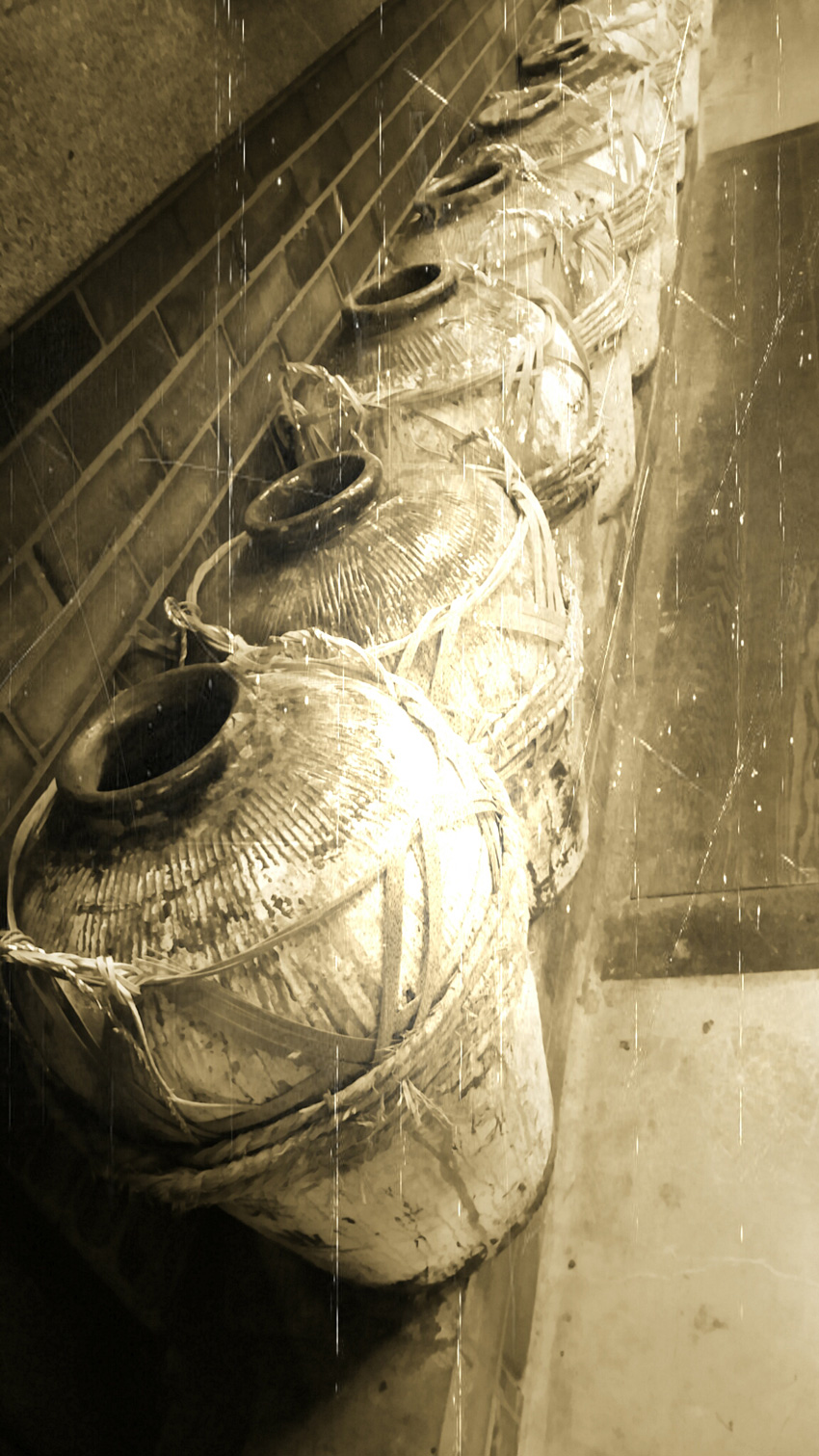 CAM00540.jpg